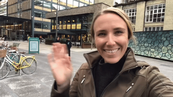 Elyse