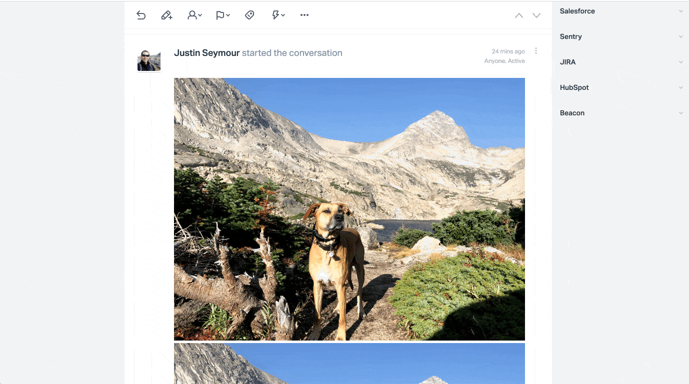 Embedded images open in a lightbox